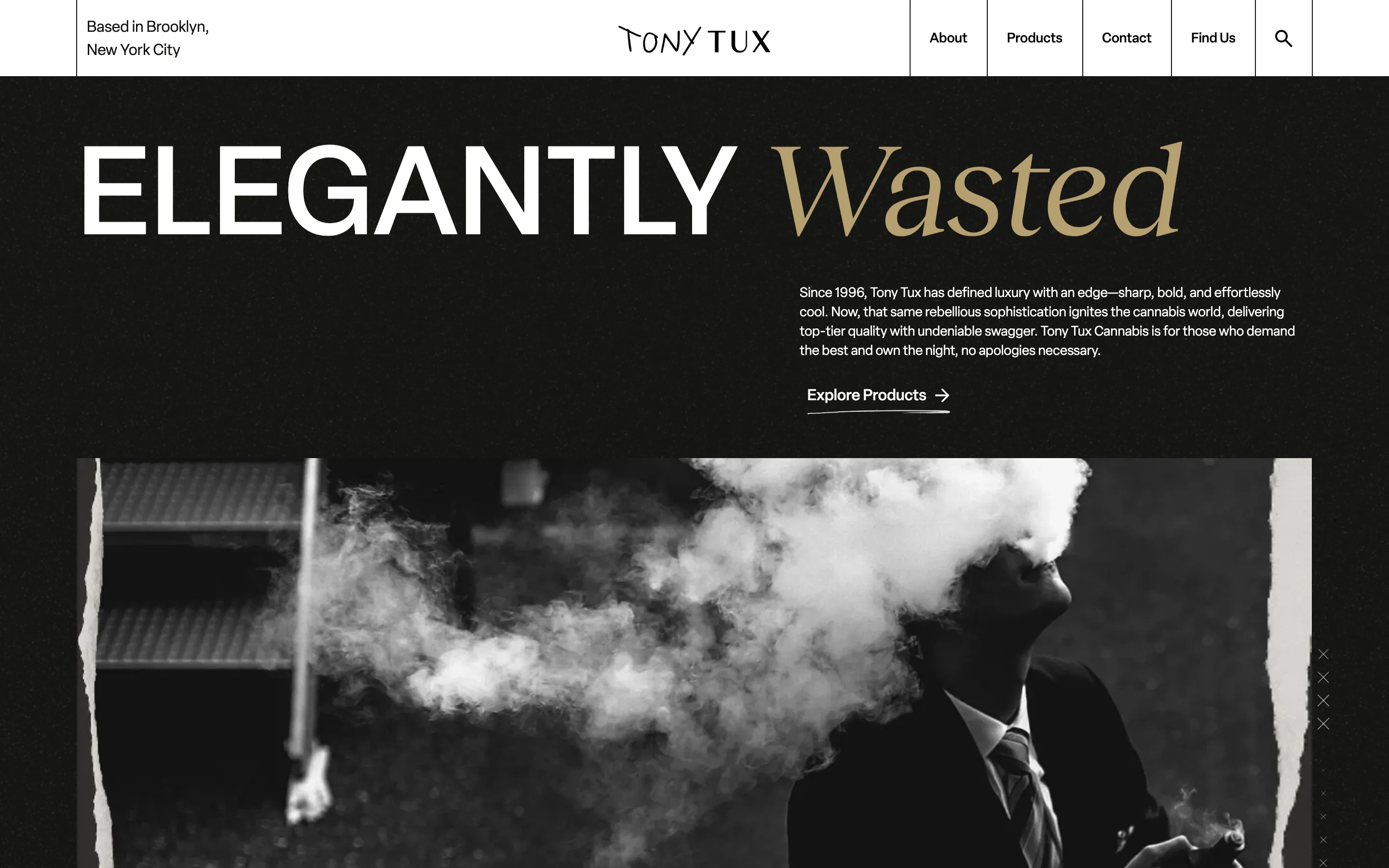 The Tony Tux website on desktop