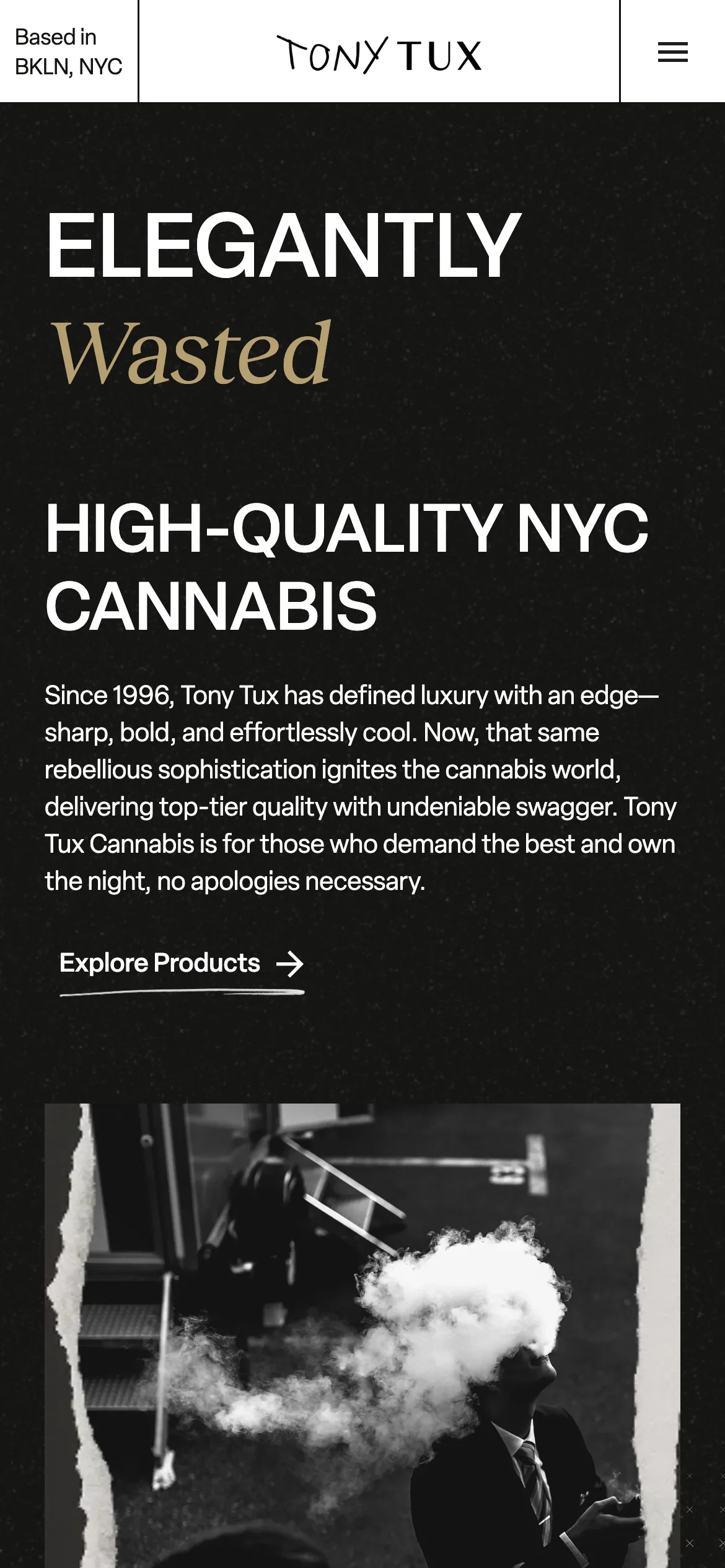 The Tony Tux website on a phone